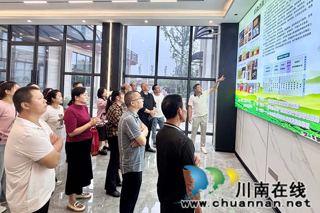 泸县百和镇：人大代表集中视察 为农文旅融合发展“把脉”