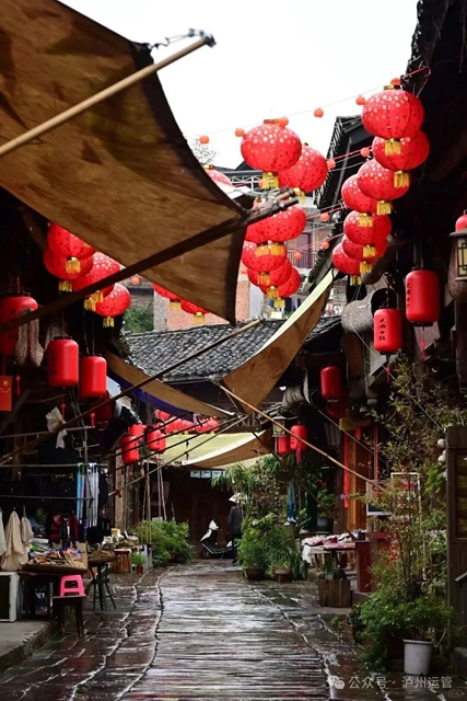 双节游泸州!主城区+周边热门景区,公共交通出行攻略来啦(图12) 12.jpg