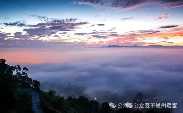 双节游泸州!主城区+周边热门景区,公共交通出行攻略来啦(图11) 11.jpg