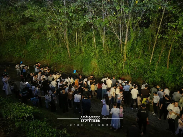 想去泸州张坝桂圆林看萤火虫不？10月4号还有一场！