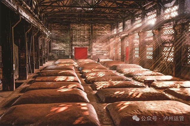 双节游泸州！主城区+周边热门景区，公共交通出行攻略来啦