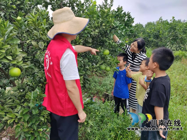 孩子们在果园探秘.jpg