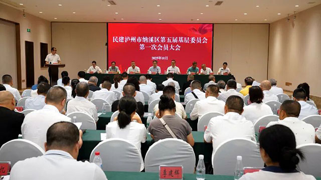 民建纳溪区基层委员会召开换届选举大会