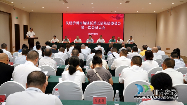 民建纳溪区基层委员会召开换届选举大会