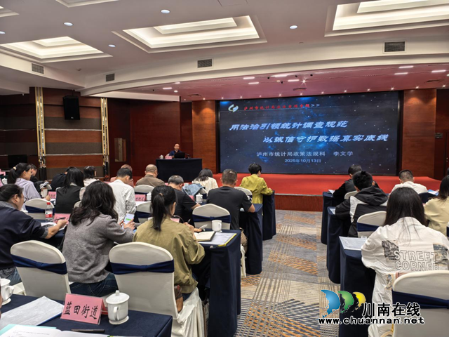 泸州市统计局开展全国1%人口抽样调查综合业务培训