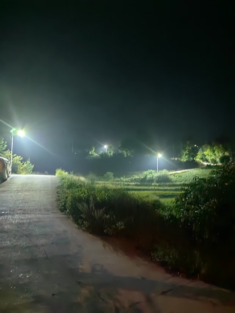 合江县新联会：20盏爱心路灯照亮尧坝镇鼓楼山村村民的出行路