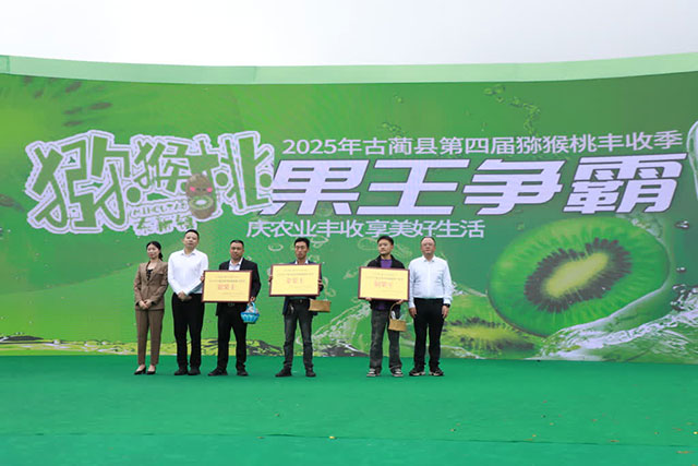 万亩猕园挂满“金果果”!古蔺县第四届猕猴桃丰收季启幕(图2) 2.jpg