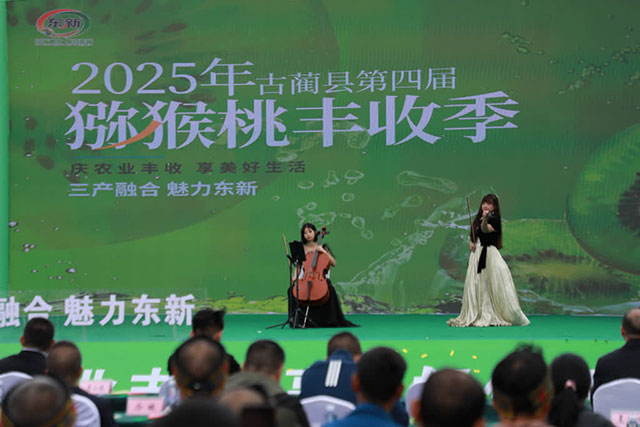 万亩猕园挂满“金果果”!古蔺县第四届猕猴桃丰收季启幕(图3) 3.jpg