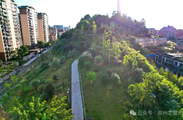 宜宾市口袋公园持续“上新”(图3) y3.jpg