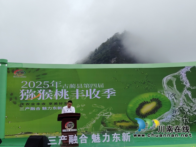 万亩猕园挂满“金果果”!古蔺县第四届猕猴桃丰收季启幕,党建引领绘就乡村振兴新图景(图2) 2.jpg