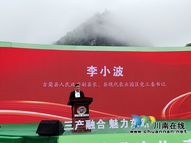 万亩猕园挂满“金果果”!古蔺县第四届猕猴桃丰收季启幕,党建引领绘就乡村振兴新图景(图1) 1.jpg