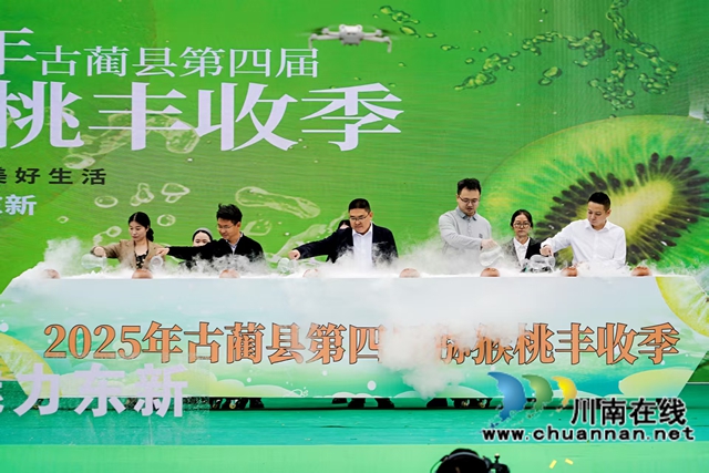 万亩猕园挂满“金果果”!古蔺县第四届猕猴桃丰收季启幕,党建引领绘就乡村振兴新图景(图3) 3.jpg