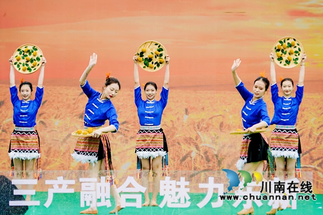 万亩猕园挂满“金果果”!古蔺县第四届猕猴桃丰收季启幕,党建引领绘就乡村振兴新图景(图11) 11.jpg