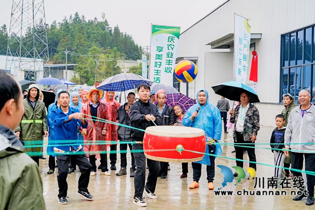 万亩猕园挂满“金果果”!古蔺县第四届猕猴桃丰收季启幕,党建引领绘就乡村振兴新图景(图15) 15.jpg
