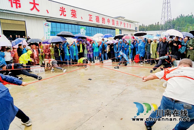 万亩猕园挂满“金果果”!古蔺县第四届猕猴桃丰收季启幕,党建引领绘就乡村振兴新图景(图17) 17.jpg