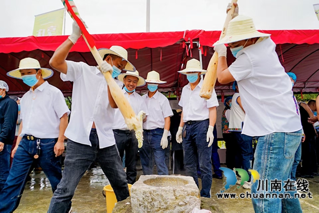 万亩猕园挂满“金果果”!古蔺县第四届猕猴桃丰收季启幕,党建引领绘就乡村振兴新图景(图30) 30.jpg