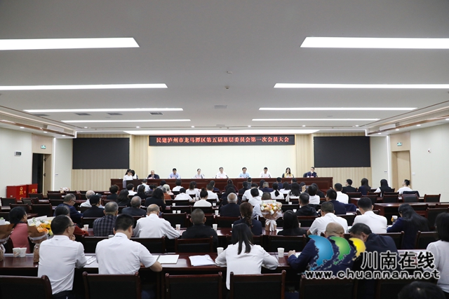 民建龙马潭区基层委召开换届大会 顺利完成政治交接