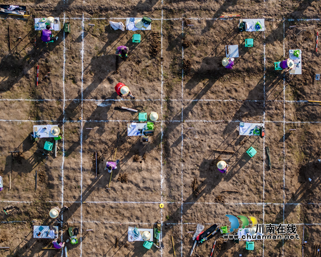 格中天地，匠意诗心一一评向波的《探掘之美》摄影作品