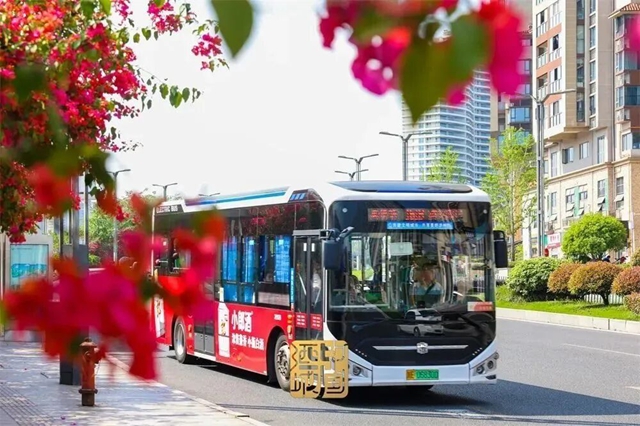 【一起坐公交 通勤出行篇】泸州沙茜、茜草片区便捷公交出行攻略