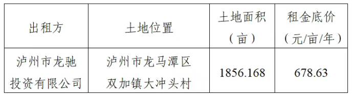 泸州市龙驰投资有限公司中国（泸州）柑橘博览园招租公告