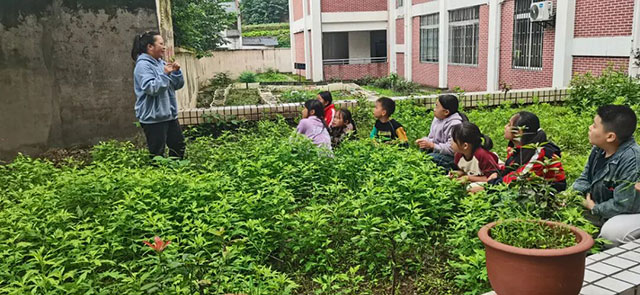 泸县喻寺镇喻寺中心小学校:敲一敲,把草药“种”在帆布上!(图1) 1.jpg