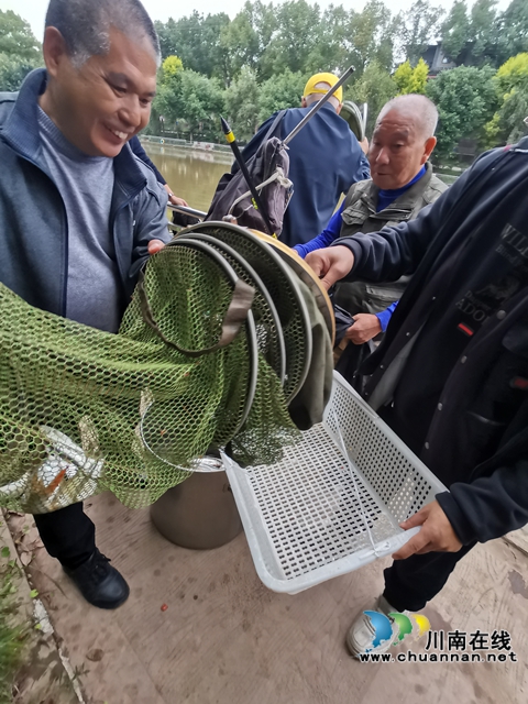 泸县举办2025年秋季全民健身老年人钓鱼比赛(图3) 称重报战绩1.jpg