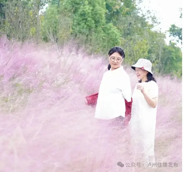 泸州城市公园2.0时代:解锁绿地空间的N种玩法(图3) 公园3.jpg