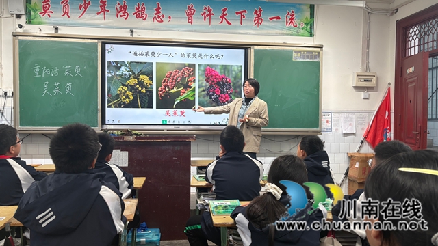 一堂跨越千年的劳动课——纳溪护国中学学子寻茱记:让传统文化“飘香”重阳(图2) 微信图片_20251029100836.jpg