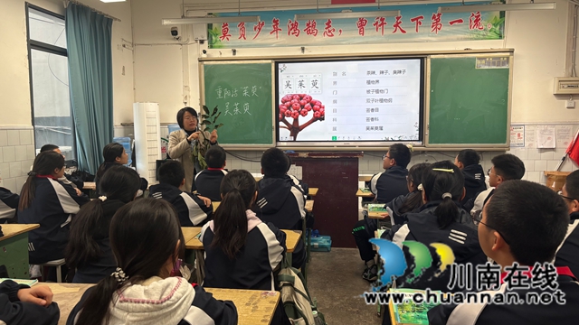 一堂跨越千年的劳动课——纳溪护国中学学子寻茱记:让传统文化“飘香”重阳(图3) 微信图片_20251029100858.jpg