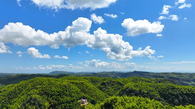 碳汇试点“纳溪经验”全省交流