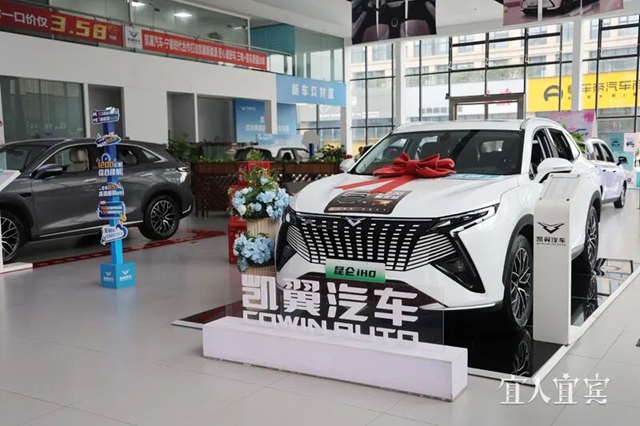 2025世界动力电池大会丨“链”出新动能！宜宾这一产业集群正加速形成