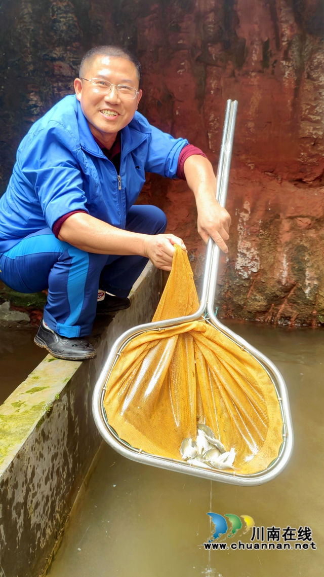 纳溪:村支书地下室养娃娃鱼“䠀”增收新路径(图3) 图3:钟传杰展示娃娃鱼的鲫鱼饵料.jpg