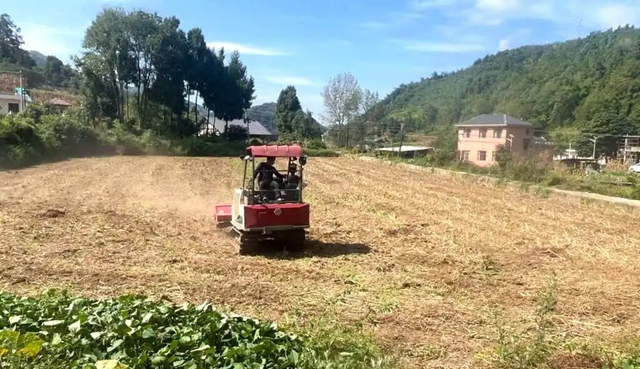 古蔺县扎实推进小春生产 全力筑牢“天府粮仓”根基