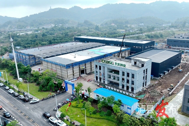 央企落子，泸县1.2亿“农业芯片”工程即将完工