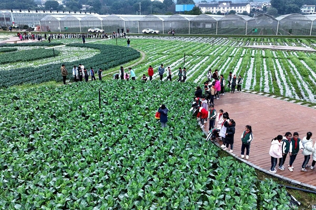 千亩园区搭台 文旅商融合唱戏｜泸天化九禾探索乡村振兴新路径