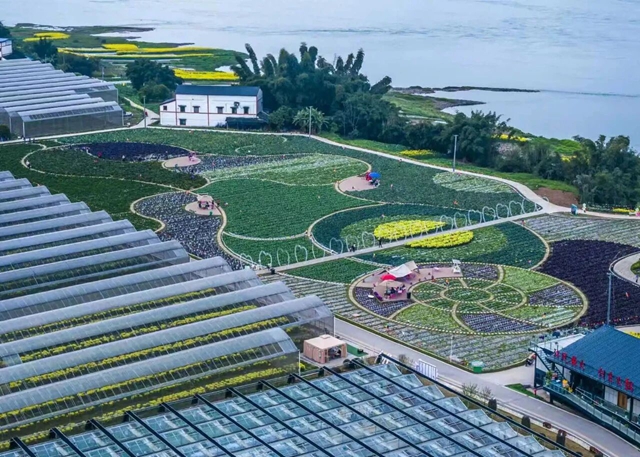 千亩园区搭台 文旅商融合唱戏|泸天化九禾探索乡村振兴新路径(图5) 化5.jpg