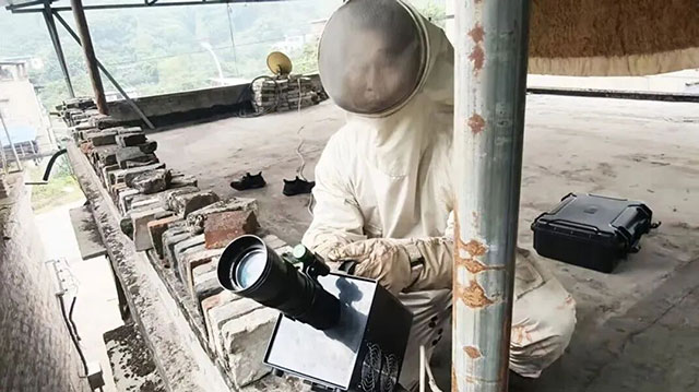 激光炮轰马蜂窝——精准打击！