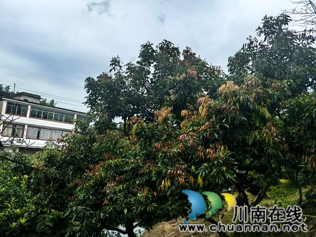 记者节·小寨的丰盈(图2) 1.jpg