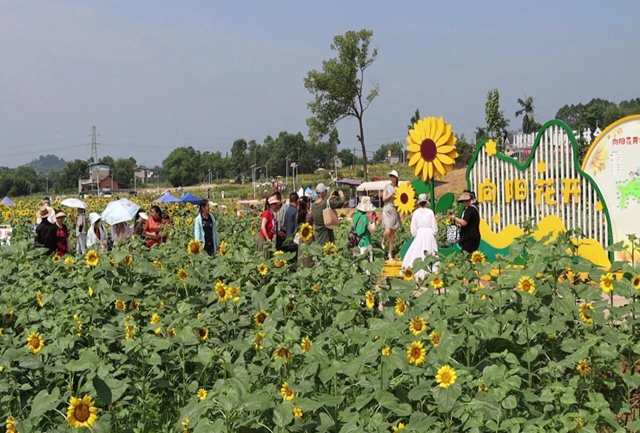 泸县牛滩镇全域土地综合整治实施方案获省级批复(图2) 2.jpg