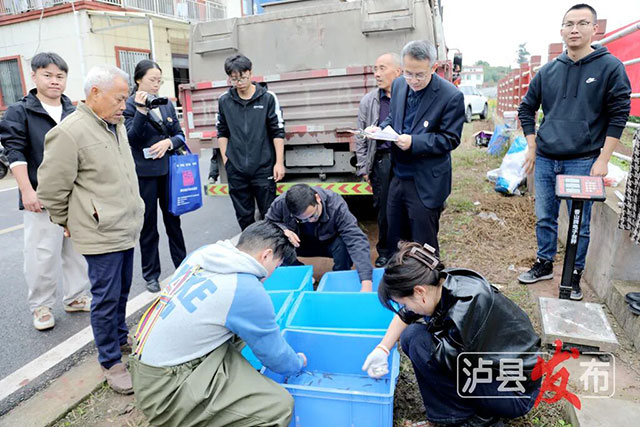 25万尾鱼苗顺利“安家”泸县濑溪河(图2) 2.jpg