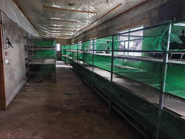 欢迎来古蔺投资,做一个幸福的人,劈柴、喂马/牛/羊/兔/猪/鸡……(图2) 2.jpg