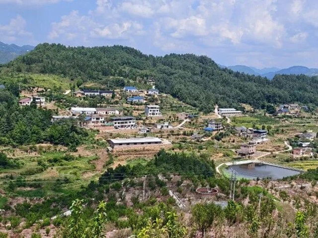 欢迎来古蔺投资，做一个幸福的人，劈柴、喂马/牛/羊/兔/猪/鸡……