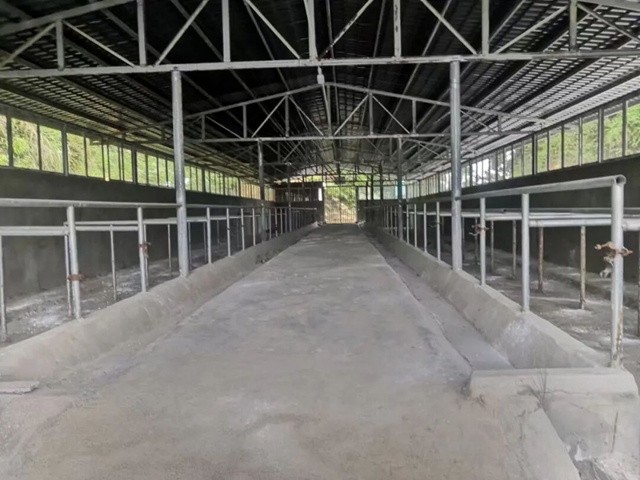 欢迎来古蔺投资,做一个幸福的人,劈柴、喂马/牛/羊/兔/猪/鸡……(图4) 4.jpg