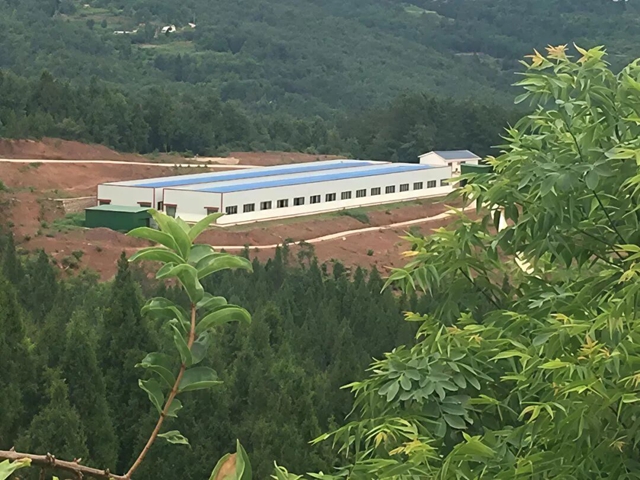 欢迎来古蔺投资,做一个幸福的人,劈柴、喂马/牛/羊/兔/猪/鸡……(图5) 5.jpg