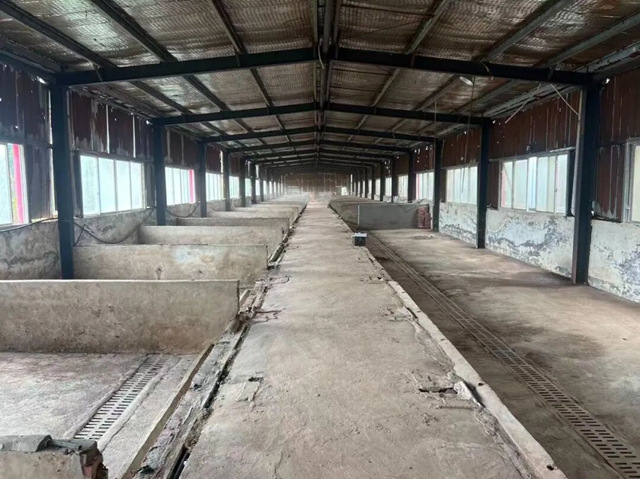 欢迎来古蔺投资,做一个幸福的人,劈柴、喂马/牛/羊/兔/猪/鸡……(图6) 6.jpg