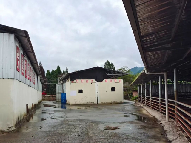 欢迎来古蔺投资,做一个幸福的人,劈柴、喂马/牛/羊/兔/猪/鸡……(图7) 7.jpg