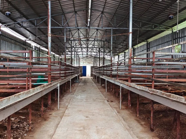 欢迎来古蔺投资,做一个幸福的人,劈柴、喂马/牛/羊/兔/猪/鸡……(图8) 8.jpg