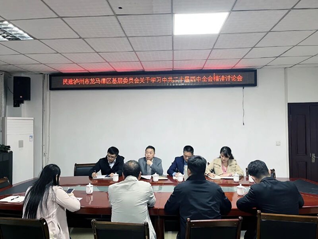 凝心铸魂强根基 团结奋进建新功|民建龙马潭区基层委学习贯彻中共二十届四中全会精神(图1) 龙1.jpg