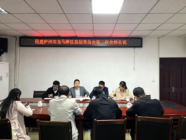 凝心铸魂强根基 团结奋进建新功|民建龙马潭区基层委学习贯彻中共二十届四中全会精神(图2) 龙2.jpg