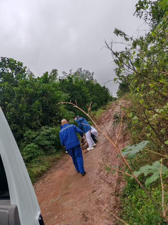 合江县中医医院急诊科:雨后泥泞路,他们用石头铺就临时生命通道(图2) 通道2.jpg